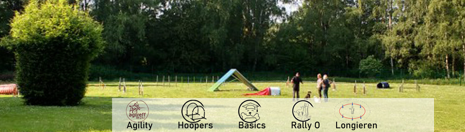 SV OG Bochum Hordel Heide