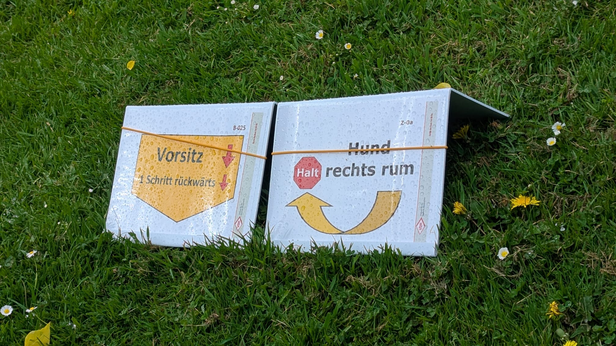 Schild